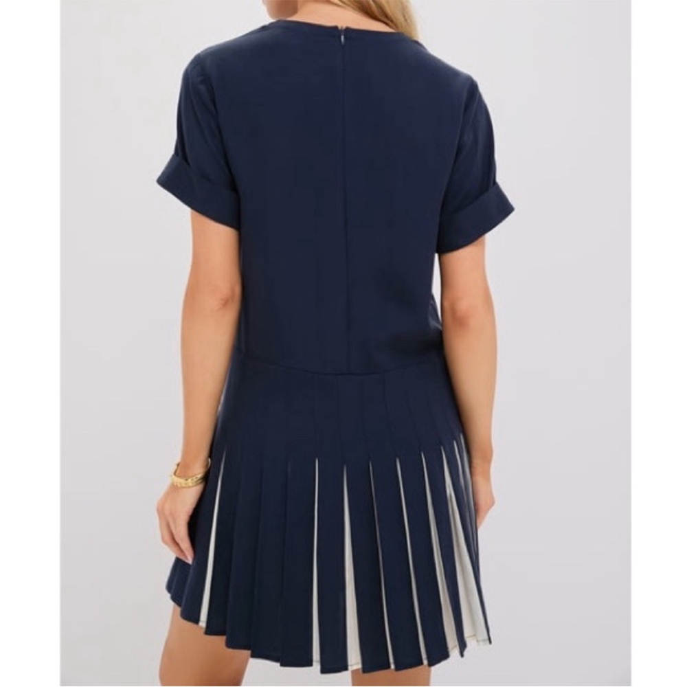 Tuckernuck Navy Pleated Mini Dress - Picture 5 of 11